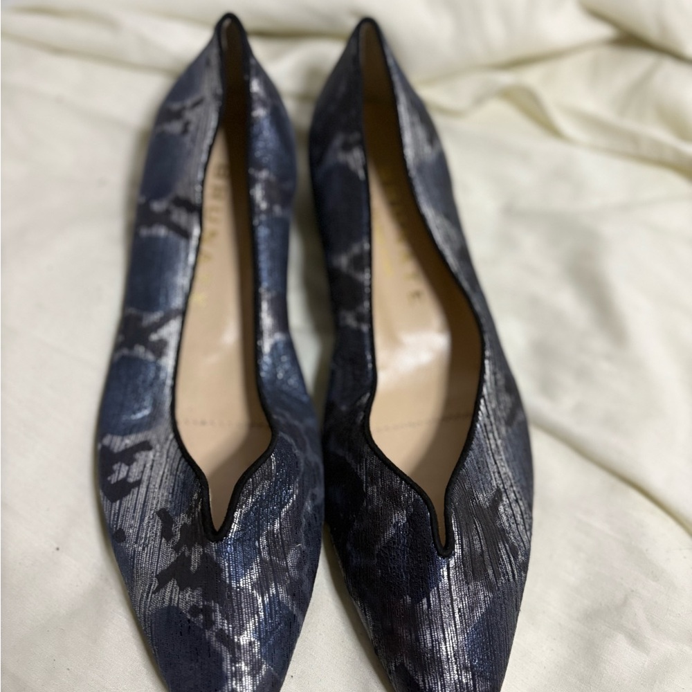 Elegant Blue and Black Brunate Women's Shoes